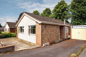 Photo 2- click for photo gallery